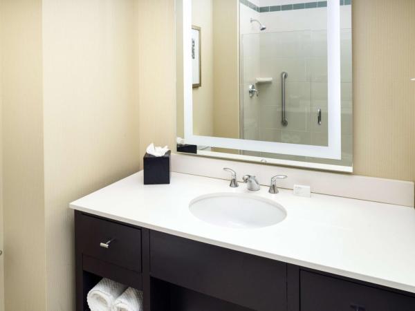 Embassy Suites Saint Louis - Downtown : photo 5 de la chambre suite 1 chambre lit king-size - non-fumeurs