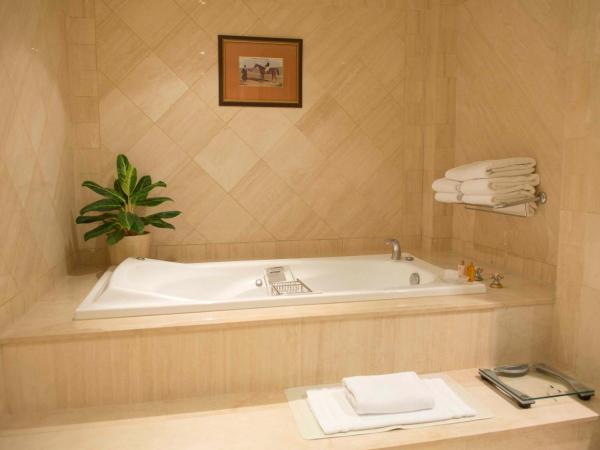 InterContinental Buenos Aires, an IHG Hotel : photo 8 de la chambre suite présidentielle