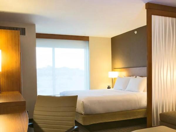 Spacious & Luxurious King Suite at Los Cabos : photo 7 de la chambre suite