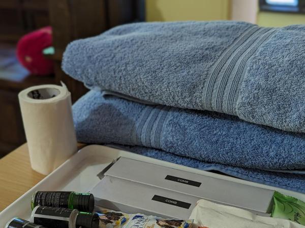 Sadar Haveli Heritage : photo 6 de la chambre chambre familiale