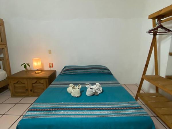 Hostal Luz de Luna Nuyoo : photo 4 de la chambre studio