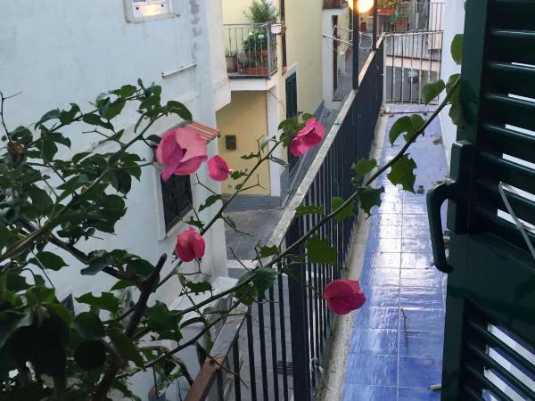 La Bouganville : photo 4 de la chambre chambre double