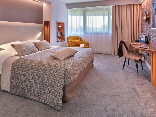 Best Western Plus Metz Technopole : photo 1 de la chambre chambre premium 