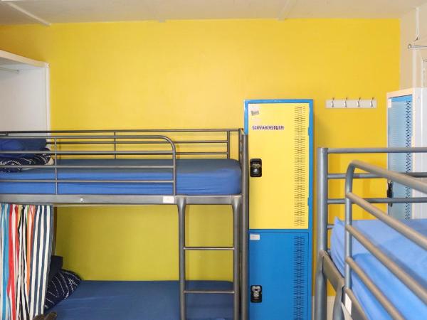 Original Backpackers : photo 3 de la chambre bed in 8-bed dormitory room with shared bathroom (age 18-36 years)
