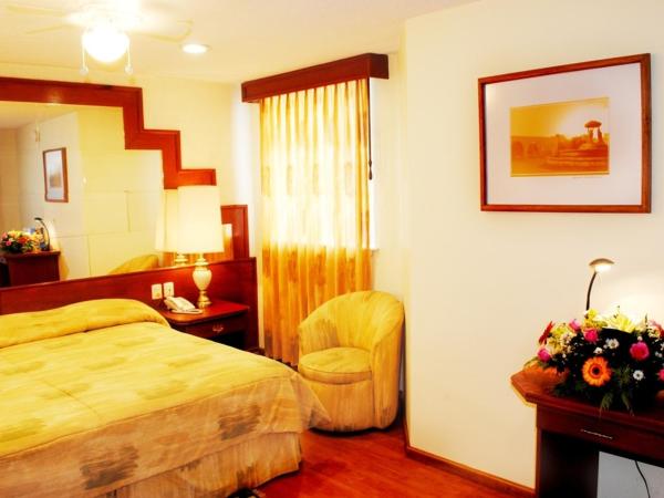 Hotel Marcella Clase Ejecutiva : photo 7 de la chambre chambre lit queen-size