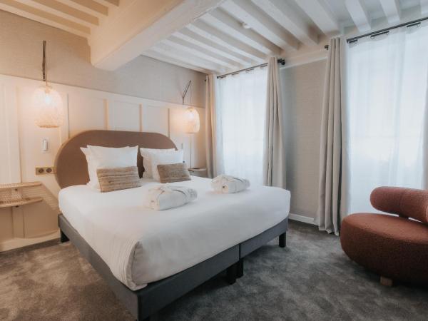 Hôtel Henry II Beaune Centre : photo 3 de la chambre chambre deluxe