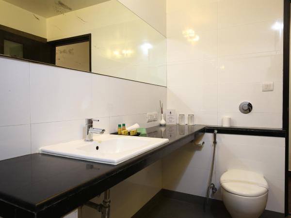 The Saneer Jaipur : photo 9 de la chambre chambre double standard