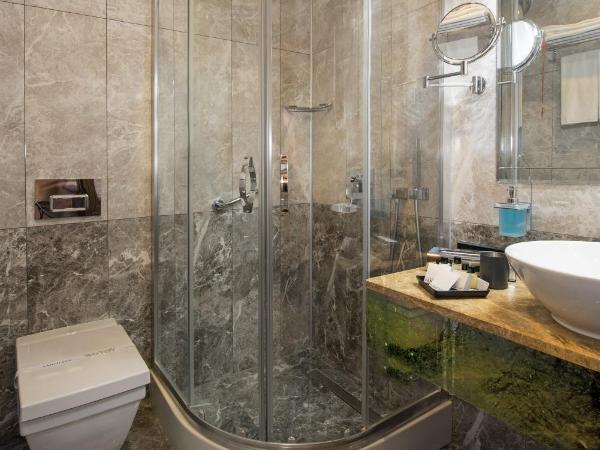 Perapolis Hotel : photo 5 de la chambre grande chambre simple