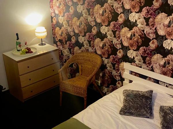 B&B Hostel 49 : photo 3 de la chambre petite chambre double