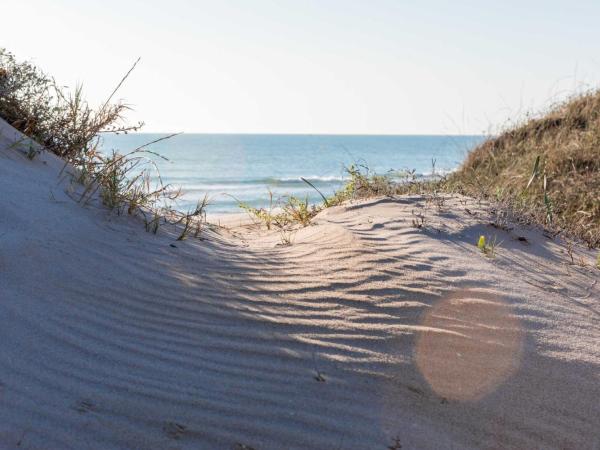 Albufera Dreams Nature Suites : photo 6 de la chambre suite supérieure 