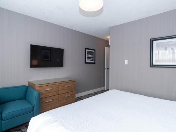 Sandman Hotel Edmonton West : photo 2 de la chambre suite standard avec 1 lit king-size, canapé-lit, kitchenette