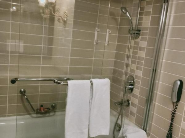 Latanya Palm & SPA Airport Antalya : photo 4 de la chambre chambre familiale standard