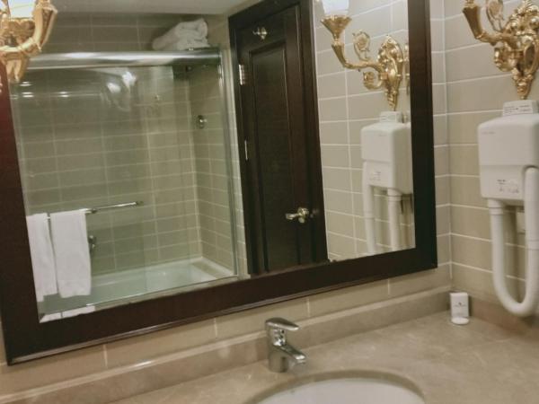 Latanya Palm & SPA Airport Antalya : photo 3 de la chambre chambre familiale standard