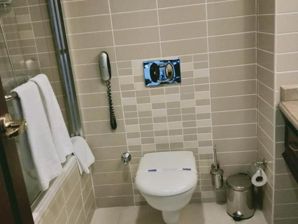 Latanya Palm & SPA Airport Antalya : photo 2 de la chambre chambre familiale standard