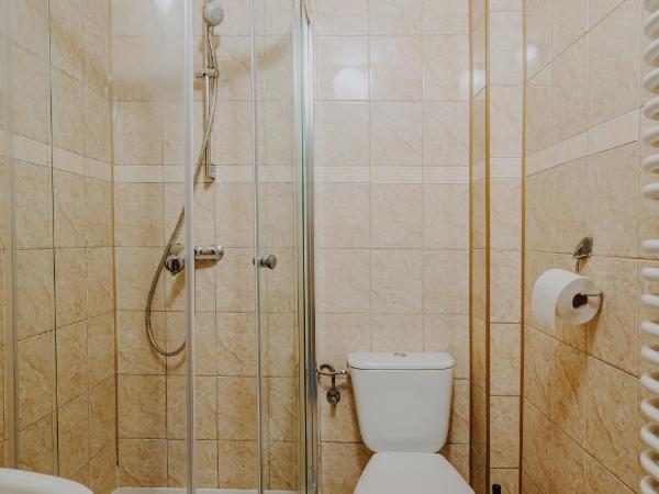 OSW Moszczeniczanka : photo 9 de la chambre chambre double avec salle de bains privative
