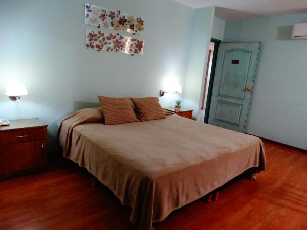 Apart San Lorenzo : photo 8 de la chambre appartement supérieur 1 chambre