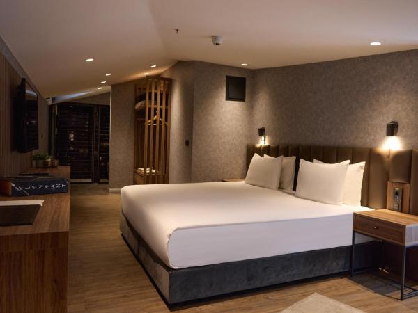 Avantgarde Hotel Sisli : photo 5 de la chambre suite - vue sur ville