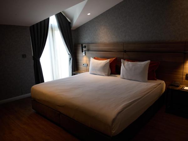 Avantgarde Hotel Sisli : photo 8 de la chambre chambre double ou lits jumeaux supérieure avec terrasse
