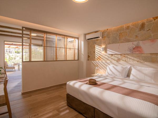 Lofos Apartments : photo 1 de la chambre suite avec piscine privée