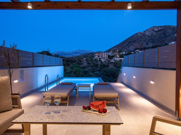 Lofos Apartments : photo 8 de la chambre suite avec piscine privée