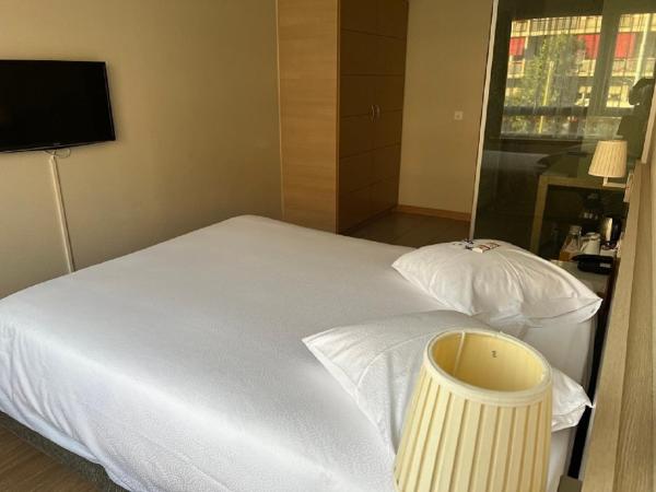 Starling Hôtel Résidence Genève : photo 2 de la chambre starling room