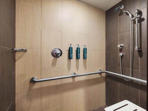 Hilton Philadelphia City Avenue : photo 6 de la chambre chambre lit king-size avec douche accessible en fauteuil roulant - adaptée aux personnes à mobilité réduite