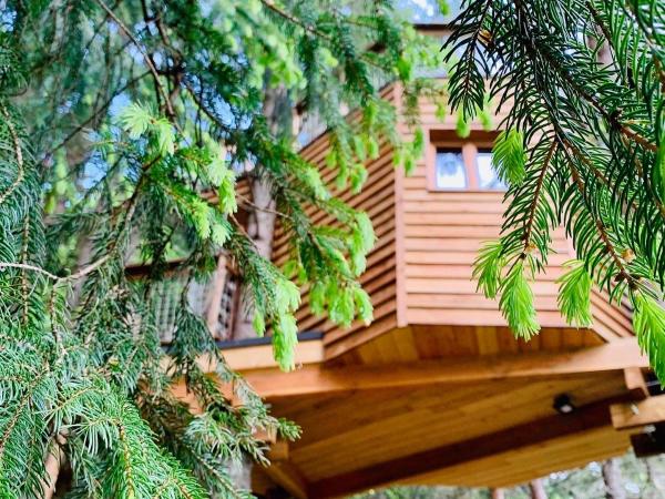 Cabane dans les Arbres de Valmo'Insolite : photo 1 de la chambre tente