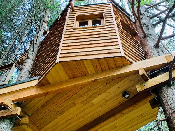 Cabane dans les Arbres de Valmo'Insolite : photo 5 de la chambre tente