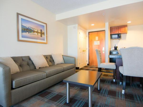 Wingate By Wyndham - Orlando International Airport- Free Airport Shuttle : photo 5 de la chambre suite 1 chambre lit king-size - non-fumeurs