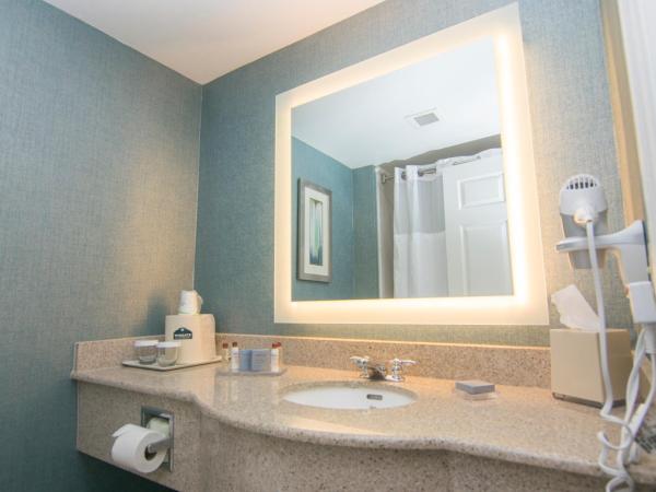 Wingate By Wyndham - Orlando International Airport- Free Airport Shuttle : photo 5 de la chambre suite studio lit king-size - non-fumeurs