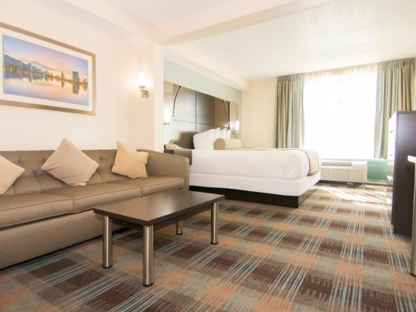 Wingate By Wyndham - Orlando International Airport- Free Airport Shuttle : photo 2 de la chambre suite studio lit king-size - non-fumeurs