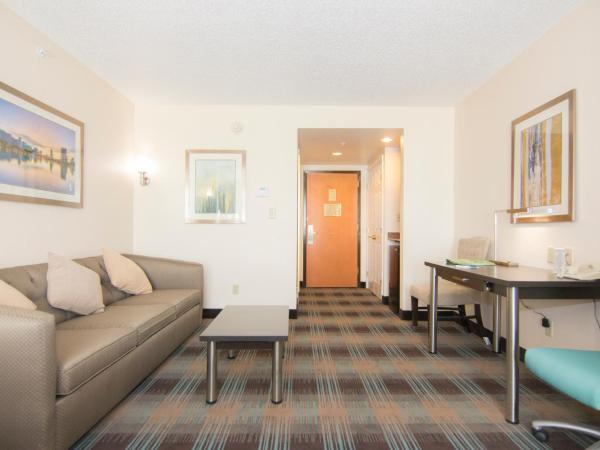 Wingate By Wyndham - Orlando International Airport- Free Airport Shuttle : photo 6 de la chambre suite studio lit king-size - non-fumeurs