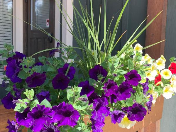 Upper Room in the Mission : photo 2 de la chambre chambre lit queen-size