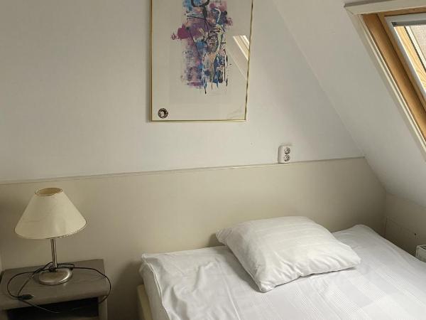 Hotel Sphinx : photo 5 de la chambre chambre simple avec salle de bains privative