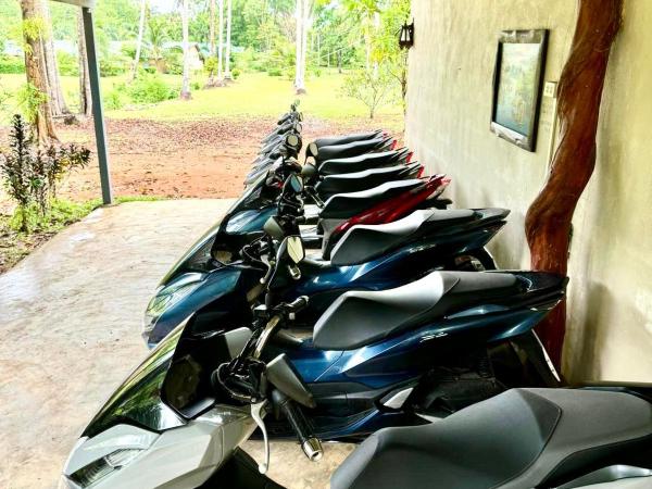 Fine Times Resort : photo 3 de la chambre bungalow supérieur