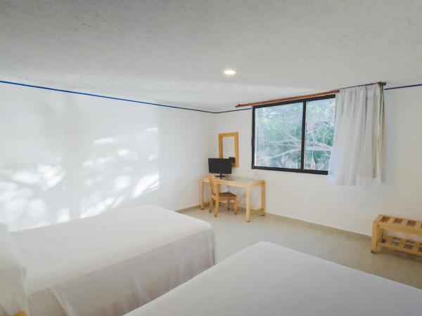 Sotavento Hotel & Yacht Club : photo 1 de la chambre chambre standard