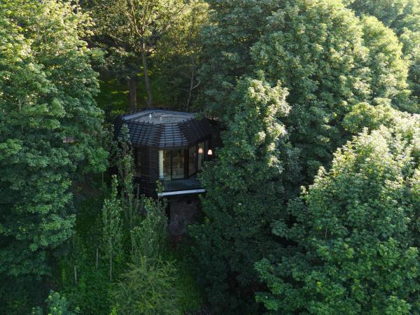 The Montenotte Hotel : photo 1 de la chambre the woodland suite