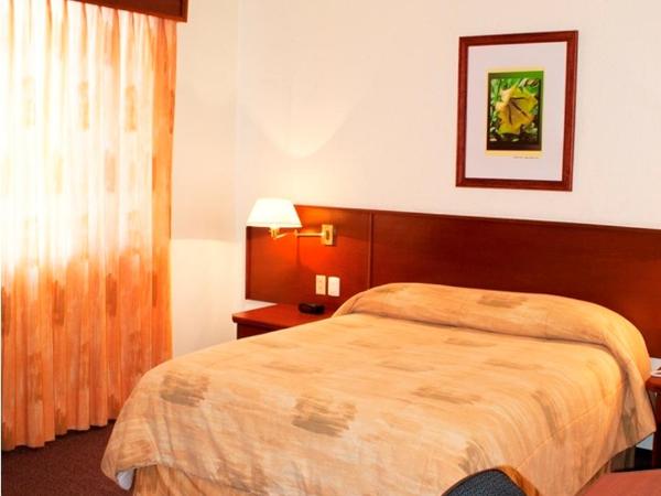 Hotel Marcella Clase Ejecutiva : photo 2 de la chambre chambre lit queen-size