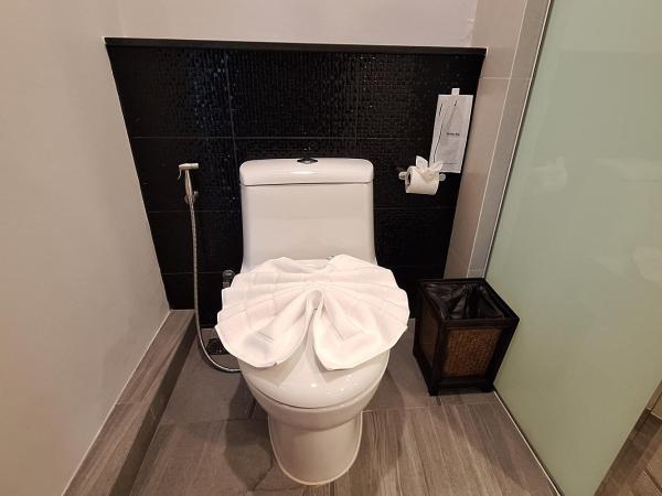 Na Napa Wellness Spa & Resort : photo 8 de la chambre chambre lits jumeaux supérieure