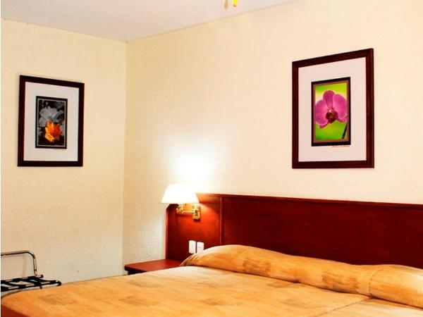 Hotel Marcella Clase Ejecutiva : photo 3 de la chambre chambre lit queen-size