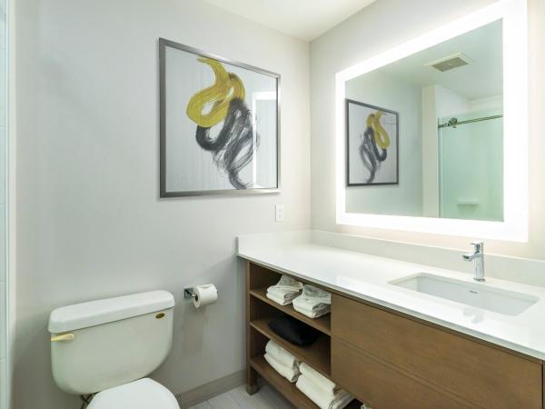 Comfort Suites : photo 4 de la chambre suite lit king-size avec canapé-lit