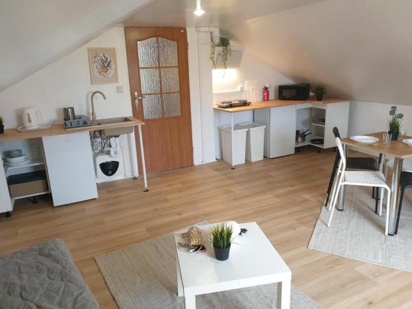 Hostello Airport - Przytulne pokoje, ogród, grill, w pełni wyposażona kuchnia : photo 7 de la chambre studio familial