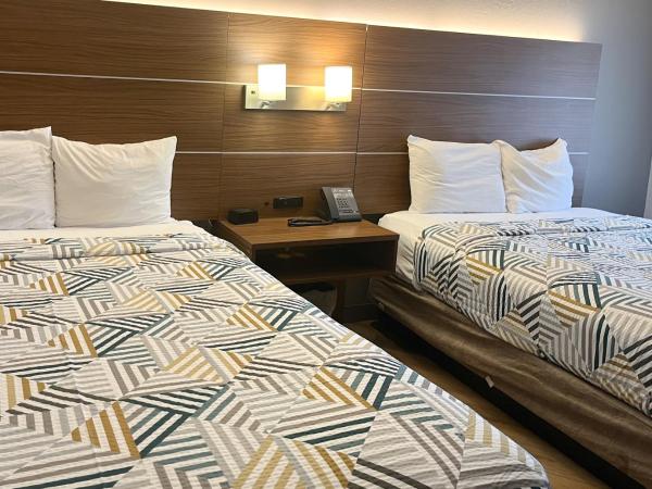 Motel 6 Phoenix, AZ Midtown : photo 4 de la chambre chambre 2 lits queen-size - non-fumeurs