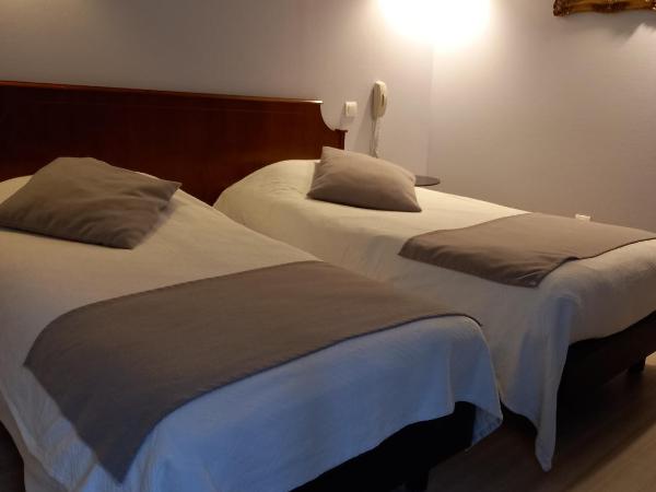 Brit Hotel Comtes De Champagne - Troyes Centre Historique : photo 1 de la chambre chambre lits jumeaux standard