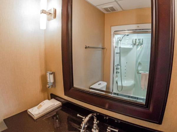 Hotel Chateau Bellevue : photo 2 de la chambre chambre lit king-size exécutive