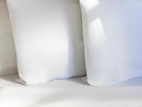 American Hotel : photo 10 de la chambre suite 1 chambre avec salle de bains commune