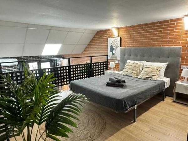 Melia y Fuster 23C : photo 1 de la chambre studio supérieur