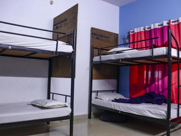 Mandala bagpackers : photo 1 de la chambre lit dans dortoir mixte de 10 lits