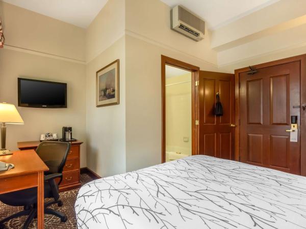 Best Western Plus Pioneer Square Hotel Downtown : photo 10 de la chambre chambre lit king-size standard