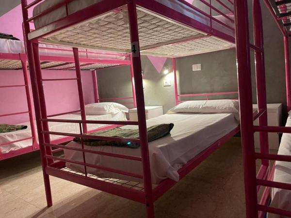 Lion Guesthouse : photo 3 de la chambre dortoir mixte